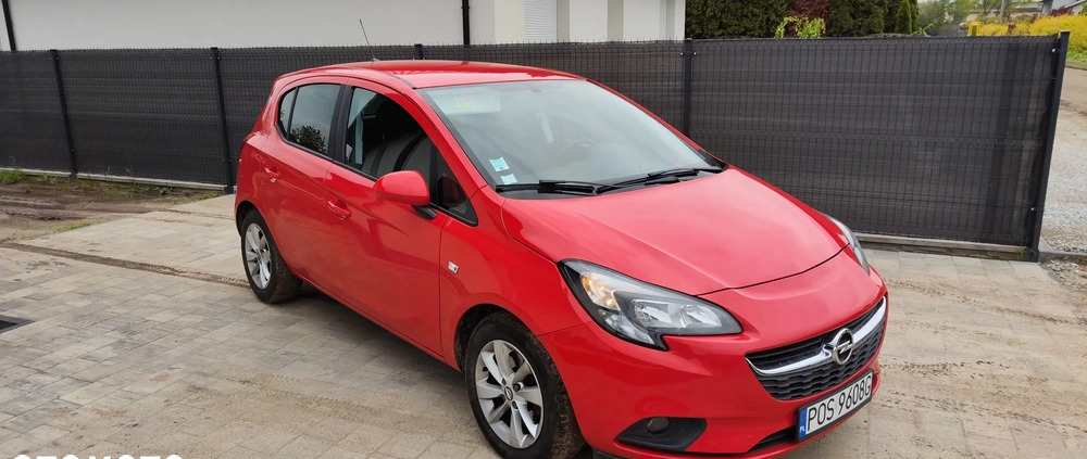 Opel Corsa cena 33900 przebieg: 64100, rok produkcji 2016 z Rajgród małe 154